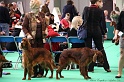 Crufts2011 229